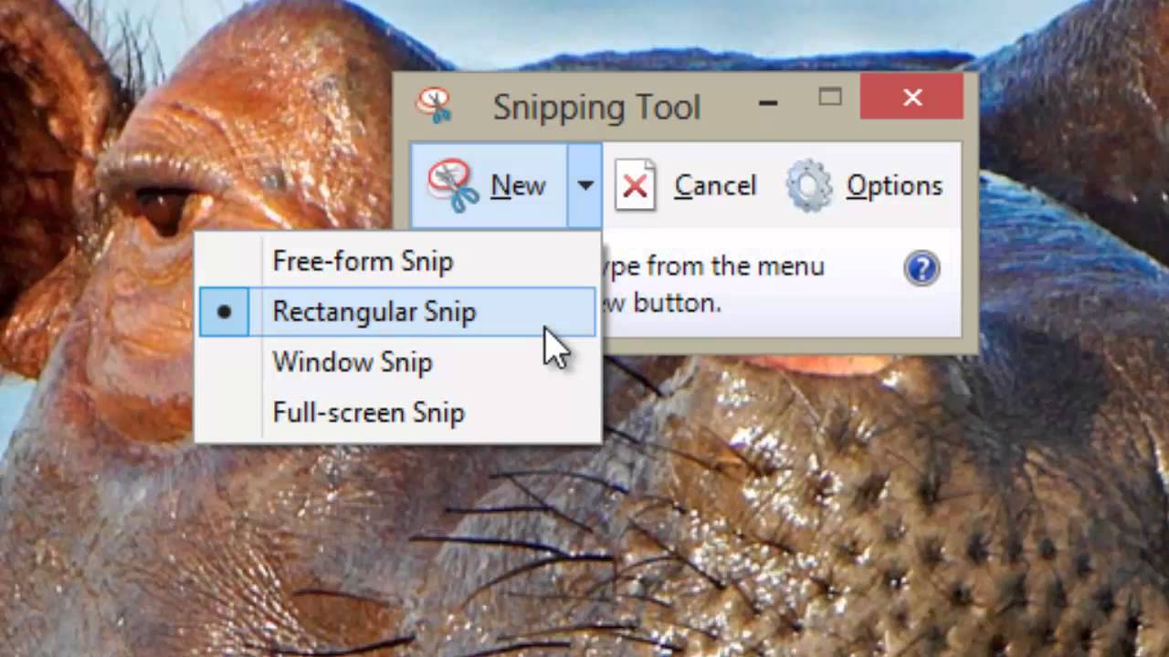 snipping tool windows 8.1 download